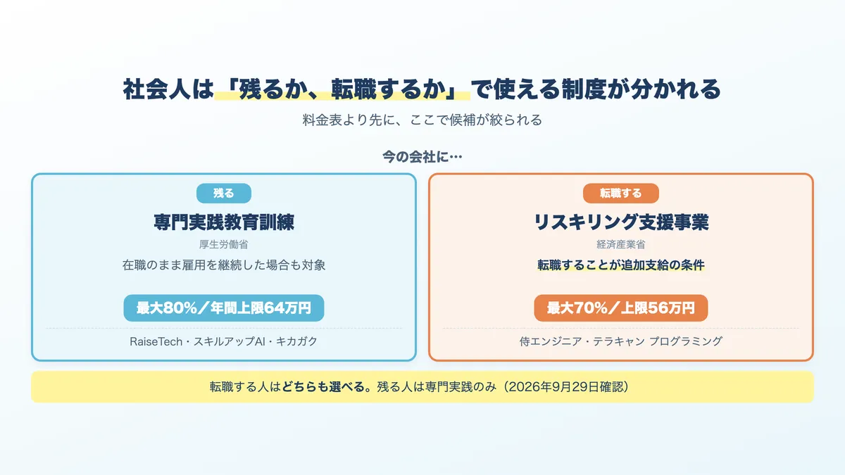 社会人は今の会社に残るか転職するかで使える給付金が分かれることを示した図