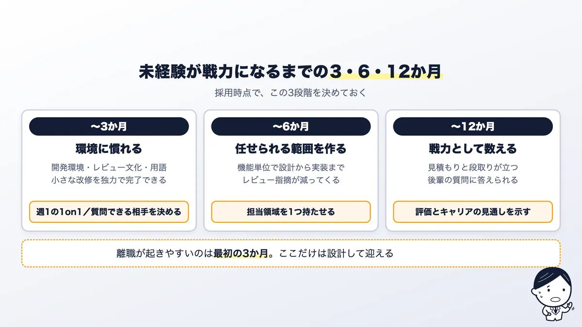 未経験エンジニアが戦力になるまでの3か月・6か月・12か月の目安