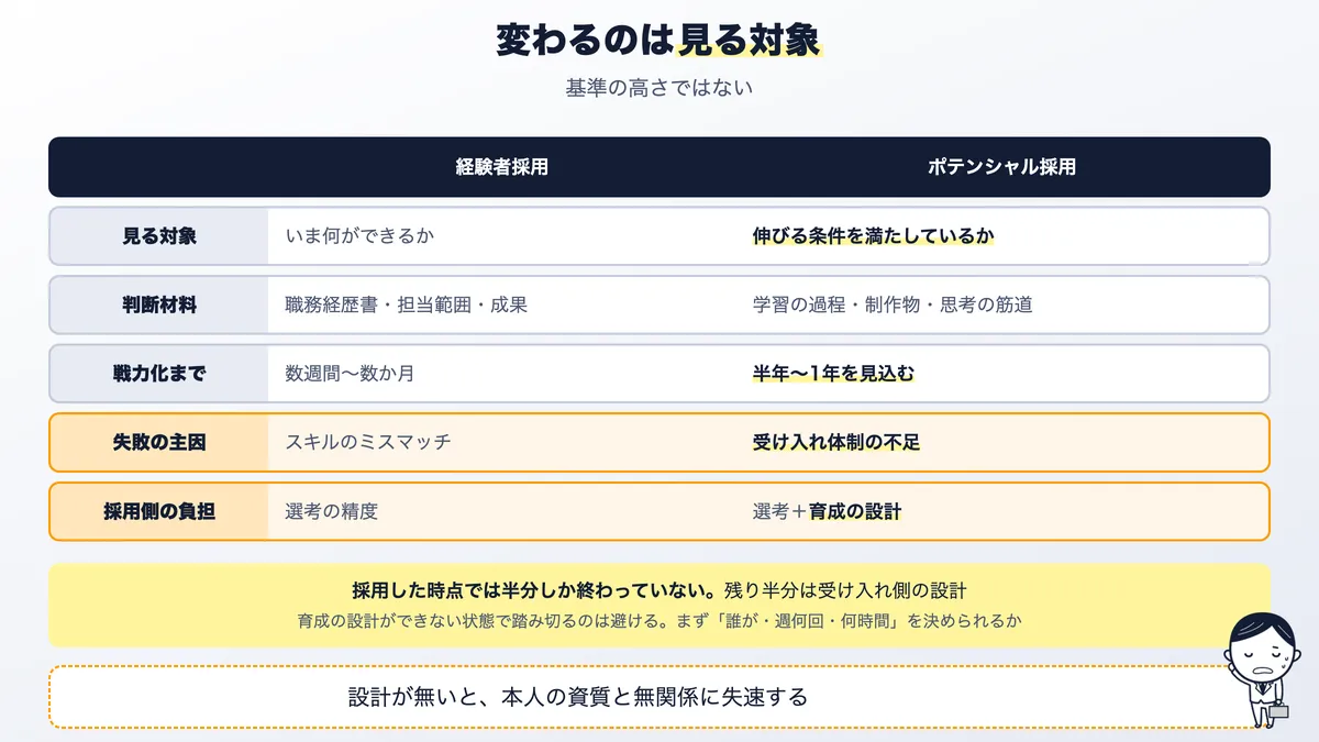 経験者採用とポテンシャル採用の違い