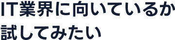 IT業界に向いているか試してみたい