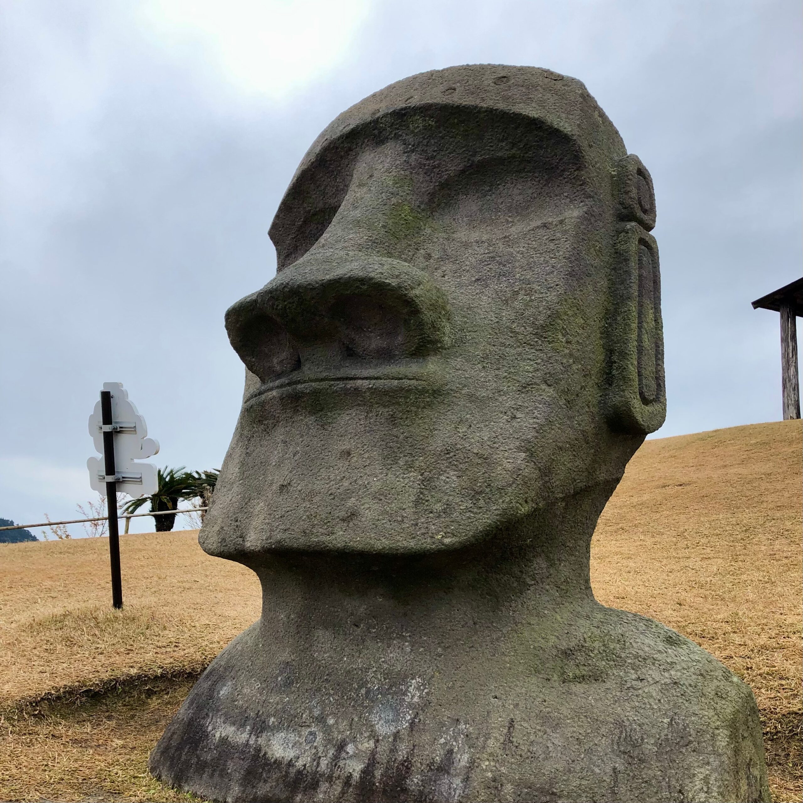 受講生の画像