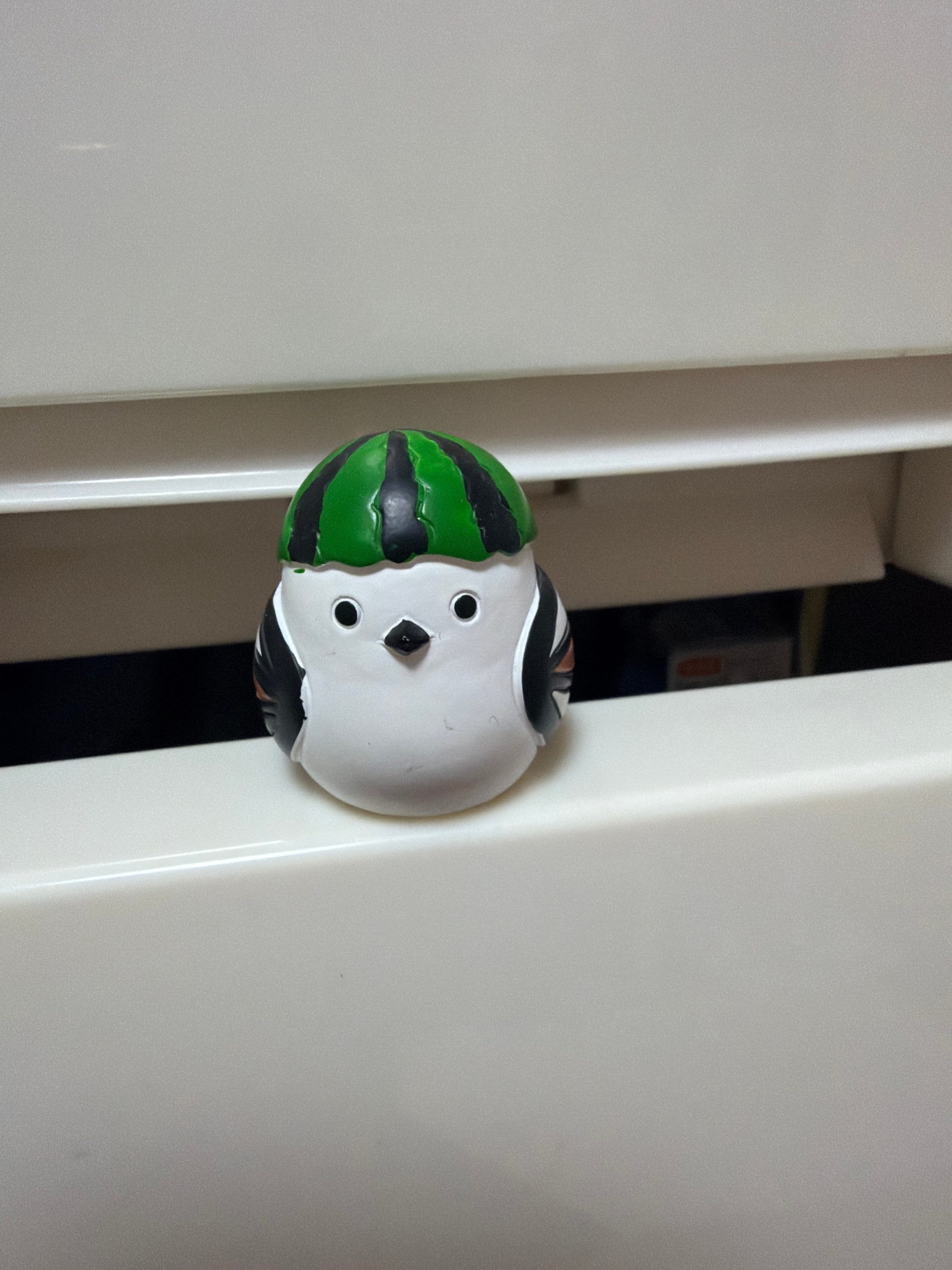 受講生の画像